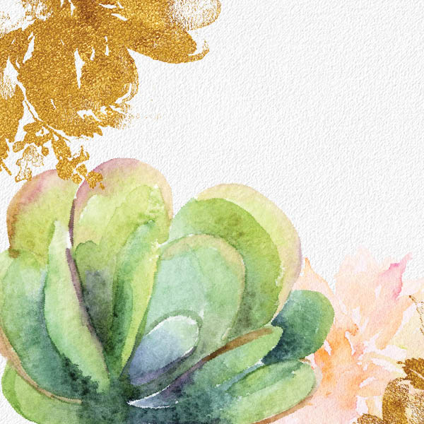 Blog-succulent Succulent graphic